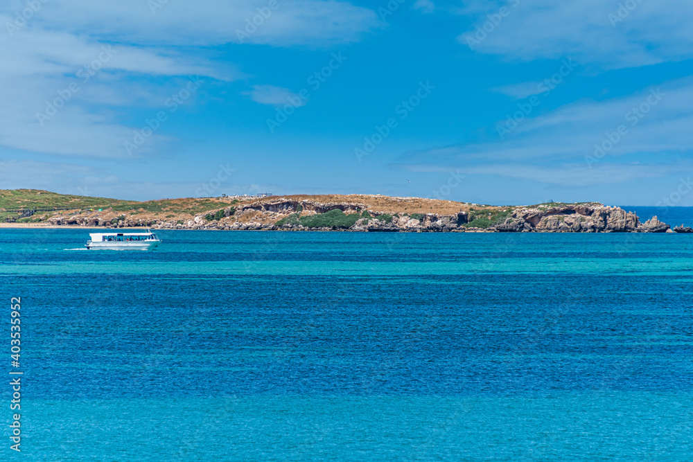 Seal Island and Penquin Island in the beautiful Shoalwater Bay