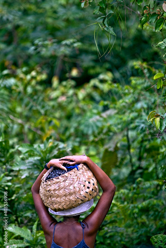 Colheita de açai no quilombo, Alcantara. Maranhão
