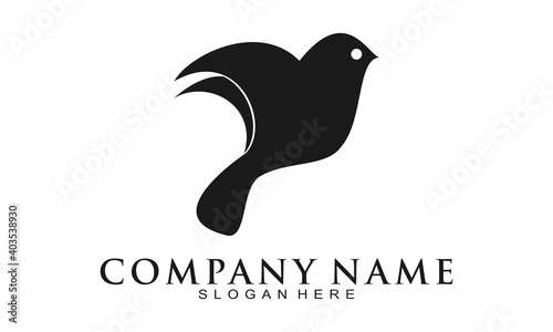 Cute bird illustration vector design