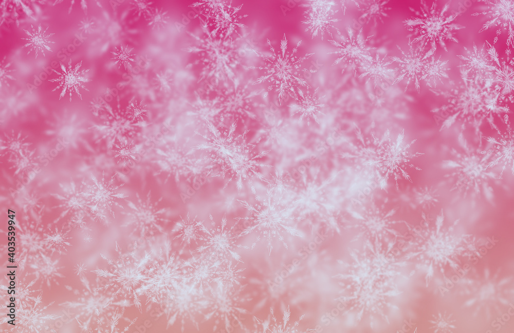 pink christmas background pink christmas background