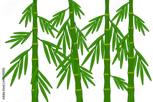 Fototapeta Naklejka Na Ścianę i Meble -  Green bamboo, the middle part of the trunk with branches and leaves without a crown for the design of textiles, wallpaper, tiles