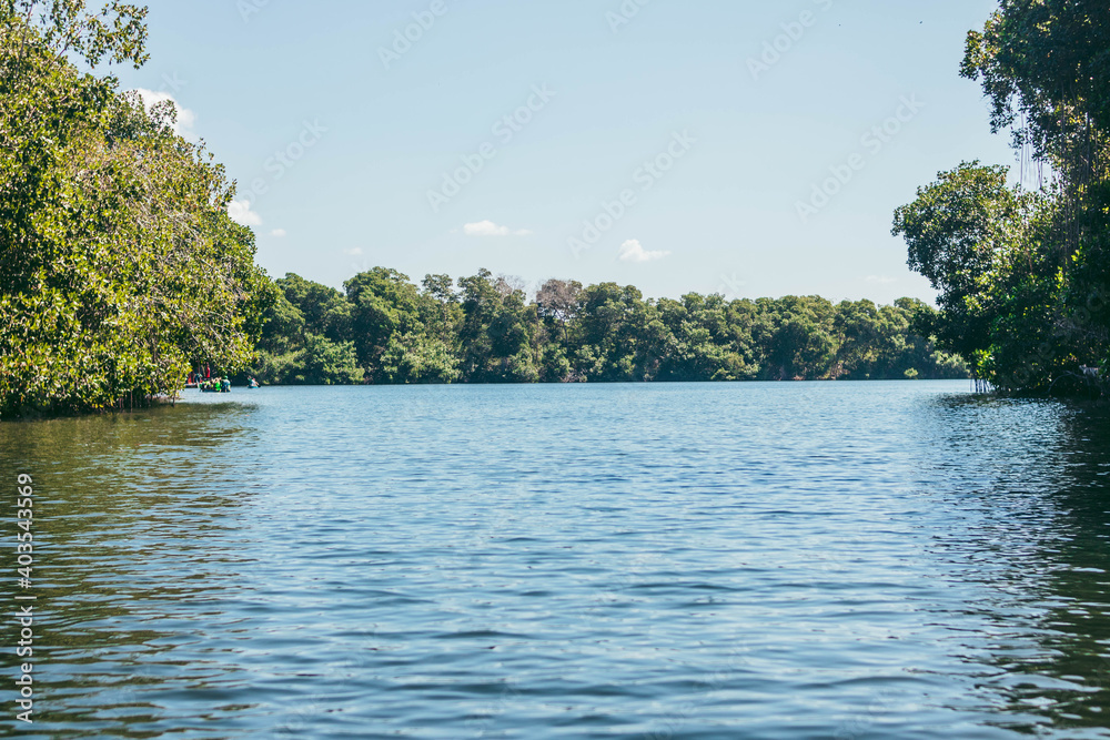 paseo en canoa por un hermoso río que tiene salida al mar paseo en canoa por un hermoso río que tiene salida al mar