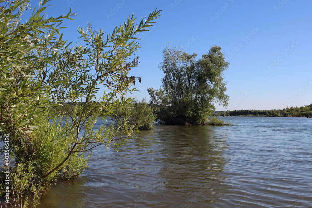 river with a bay on the shore bush for fishing in the summer in the pond river with a bay on the shore bush for fishing in the summer in the pond