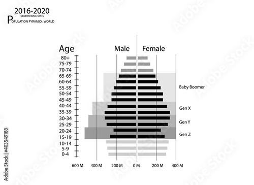 Population and Demography, Population Pyramids Chart or Age Structure Graph with Baby Boomers Generation, Gen X, Gen Y and Gen Z in 2016 to 2020.