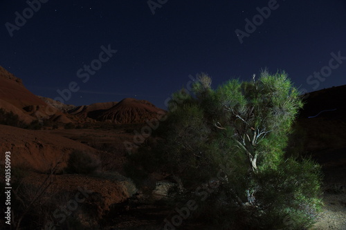 Almaty, Kazakhstan - 06.24.2013 : Artificially illuminated trees and shrubs at night in the Altyn Emel Nature Reserve