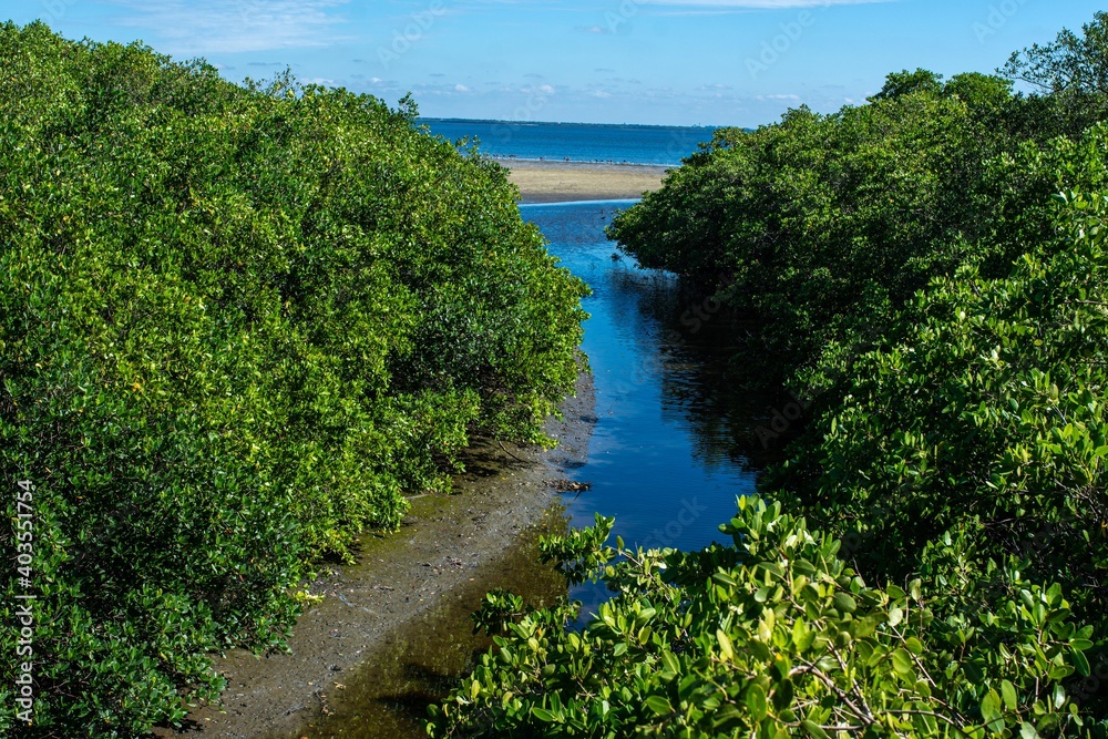 Safety Harbor Park