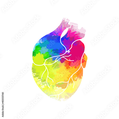 Realistic heart with rainbow watercolor splashes. Lgbt love. Openness to different love. Organ anatomy. Vector illustration for postcards, banners and your creativity.