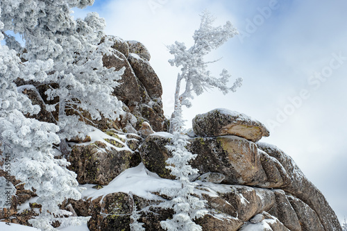 Sheregesh ski resort in Russia, located in Mountain Shoriya, Siberia. Winter landscape, trees in snow and blue sky. photo