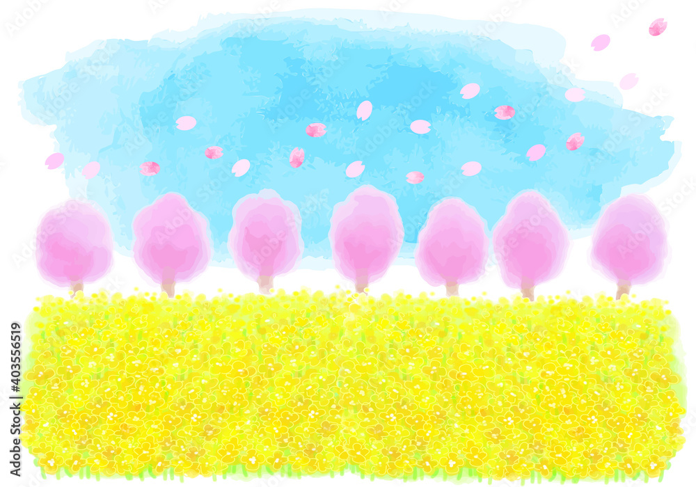 水彩の桜と菜の花畑のイラスト素材 レイヤー分け Stock Vector Adobe Stock