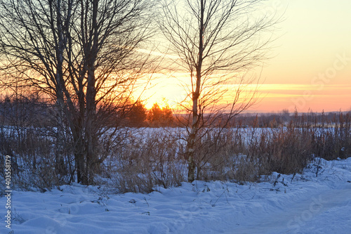 Dark silhouettes of bare trees in a snow-covered field near the road against a bright winter red sunset