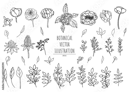 線画の植物セットモノクロ,花と草の植物素材ベクター,ボタニカルシンプルイラスト