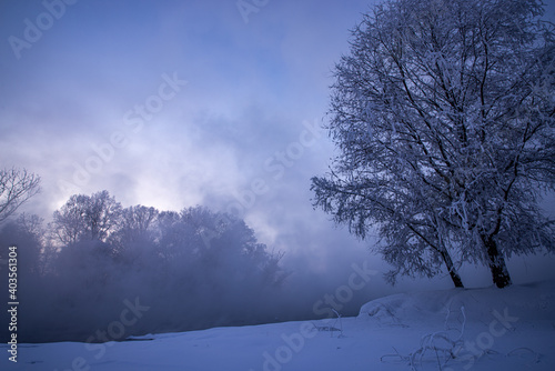 Winter trees in mountains covered with fresh snow © photollurg