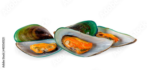 Mussels an isolated on a white background