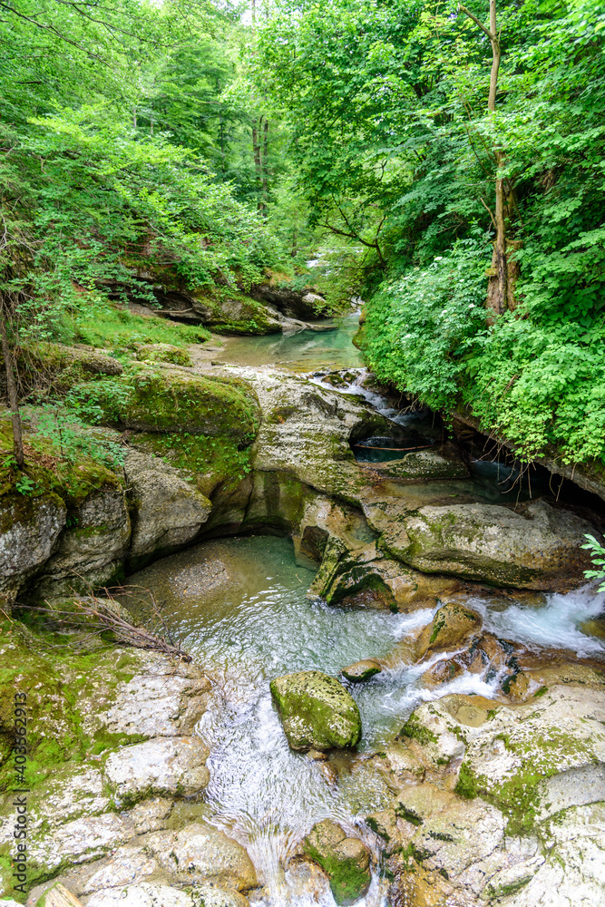 Wildromantische Natur im Haldertobel im Oberallgäu Wildromantische Natur im Haldertobel im Oberallgäu