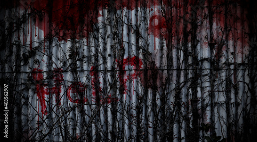 Bloody horror background material photo