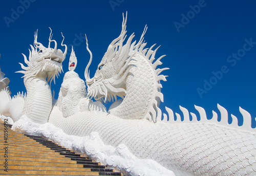 White dragon heads