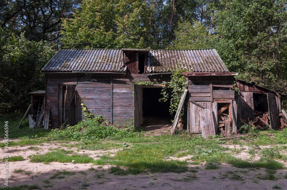 Haunted House - In The Middle Of The Forest