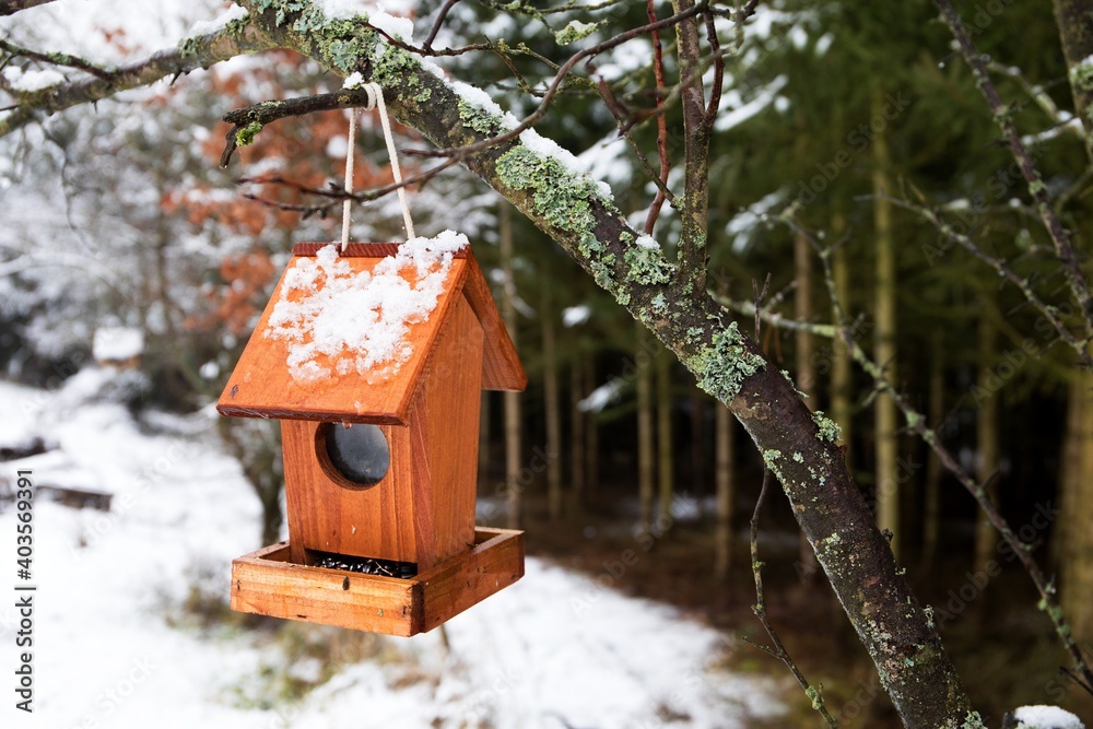 Wooden bird feeder in a snowy landscape. Feeding for birds. Bird feeder on the edge of the forest. Wooden bird feeder in a snowy landscape. Feeding for birds. Bird feeder on the edge of the forest.