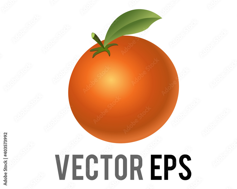 Vector citrus fruit orange, tangerine, mandarin with a green leaf, stem icon