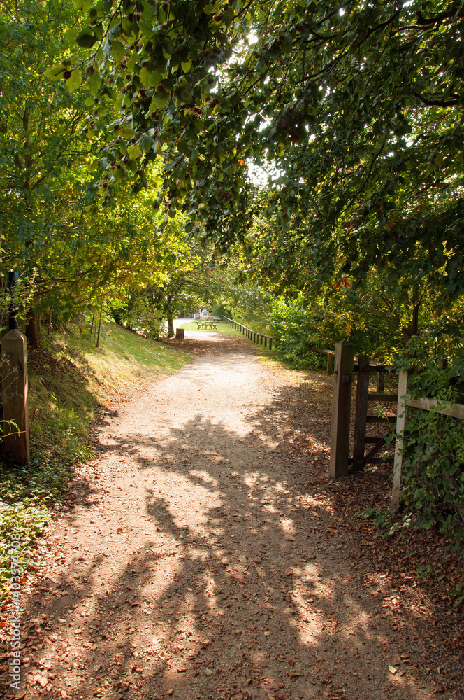 Gateway in the summer woods