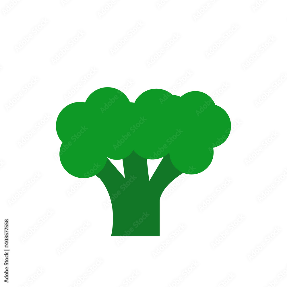 broccoli in a vector flat style. isolated. icon, card, poster, food, vegetable, plant broccoli in a vector flat style. isolated. icon, card, poster, food, vegetable, plant