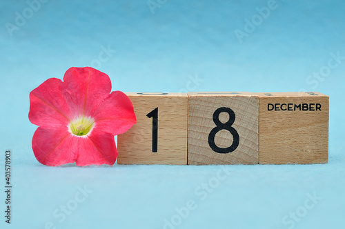 18 December on wooden blocks with a Petunia on a blue background