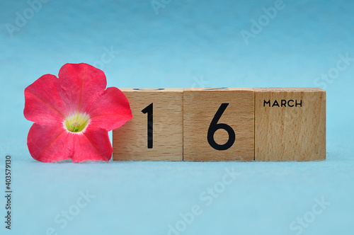 16 March on wooden blocks with a Petunia on a blue background