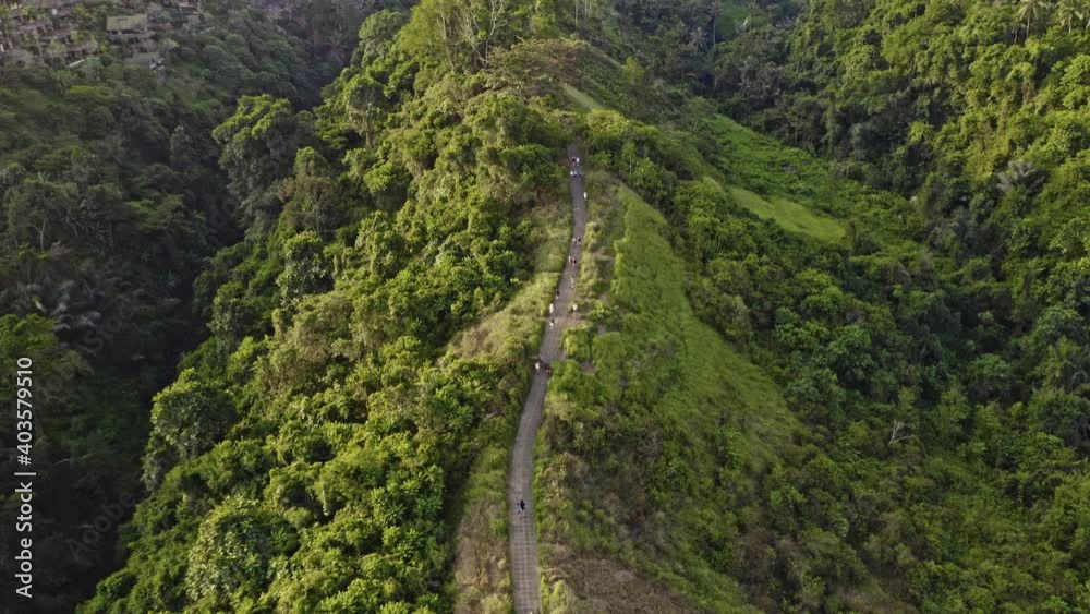 Drone Flight Over Campuhan Ridge Walk