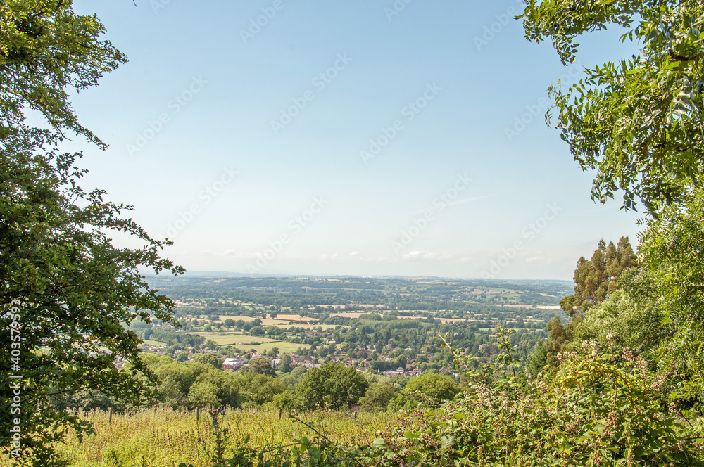 Fototapeta premium Summertime trees around the Malvern hills of England.