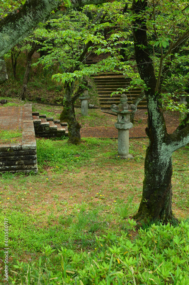 Roads, stone lanterns and stairs in the forest Roads, stone lanterns and stairs in the forest