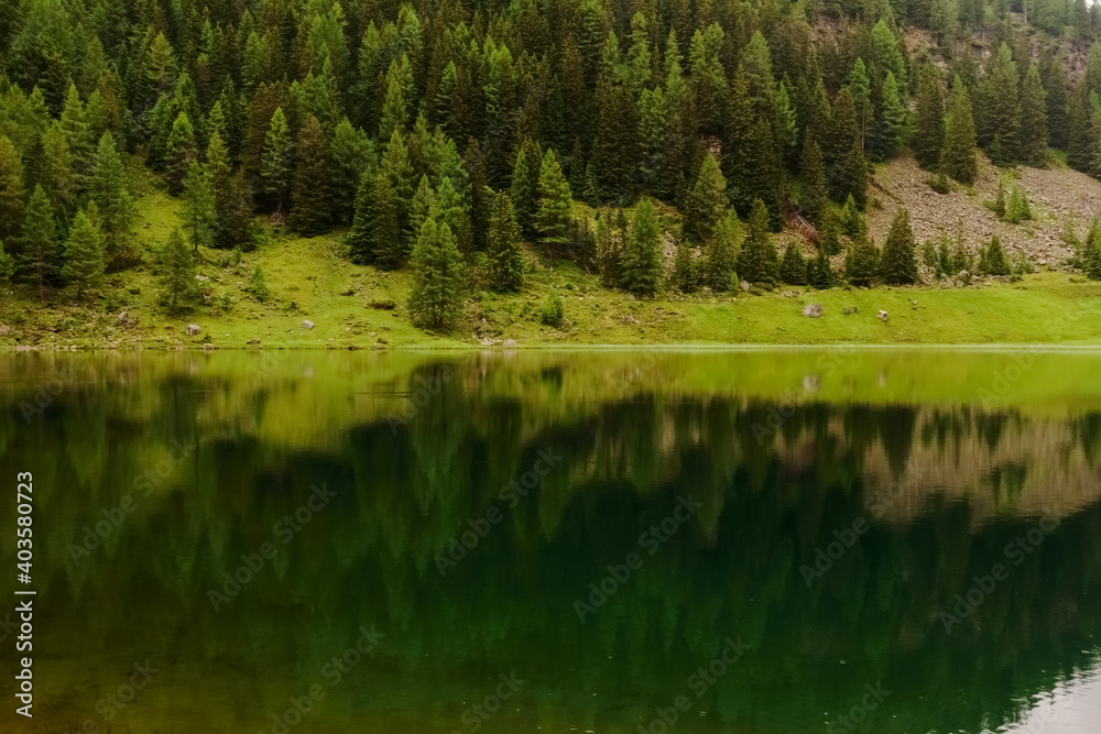 different green reflection in the water from a mountain lake