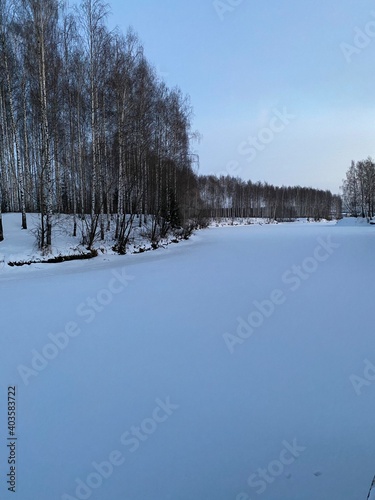 snow covered trees