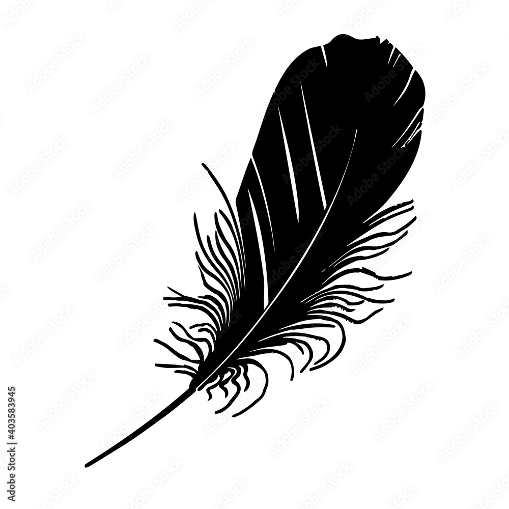 Bird's feather close-up. Black silhouette on a white background. Material for Photoshop, printing on paper or fabric. Vector graphics.