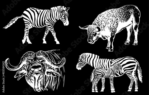 Vector set of  wild animals on black background  vector illustration