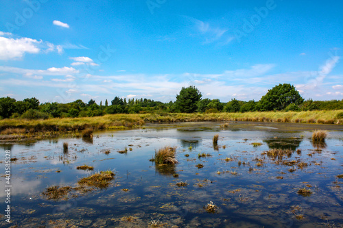 Séné. Marais, réserve ornithologique. Morbihan. Bretagne	