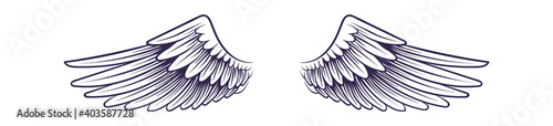 Sketch angel wings. Flying hand drawn wing, feathers decoration of heaven bird. Logo or tattoo design element, heraldic symbol vintage style badge or label vector single isolated icon