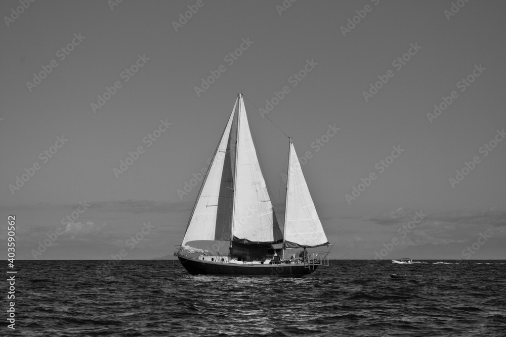 sailboat on the sea, black and white
