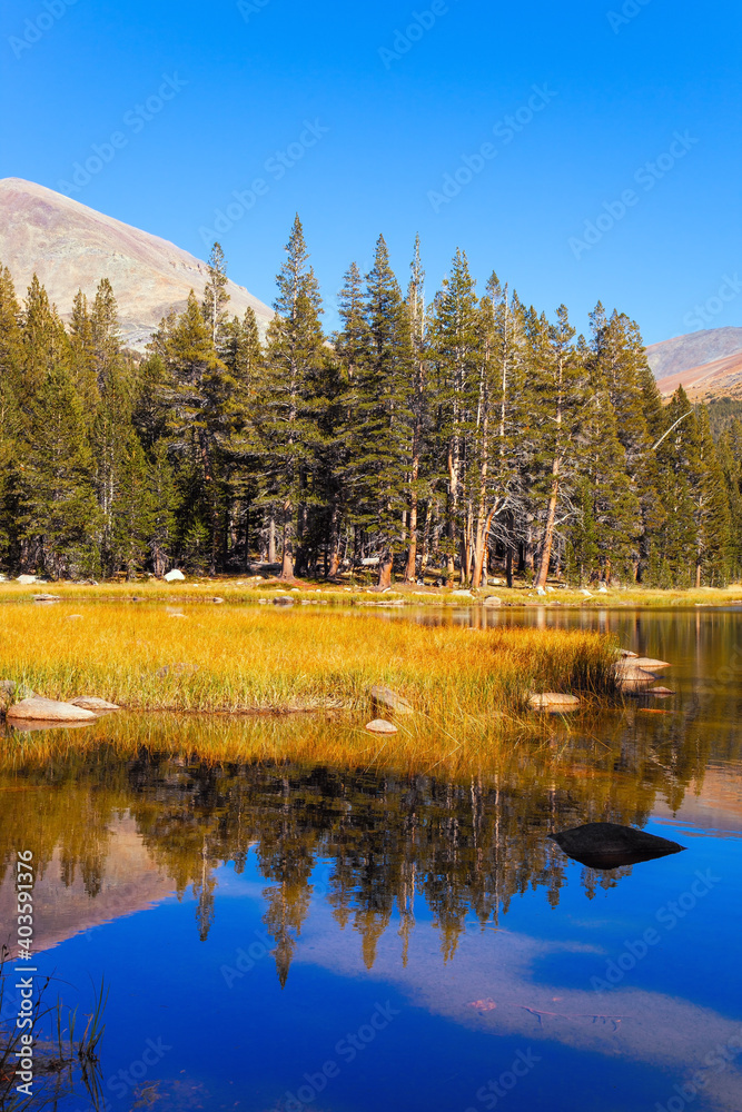  The Tioga Road in Yosemite Park