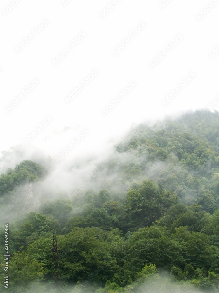 mountain in fog