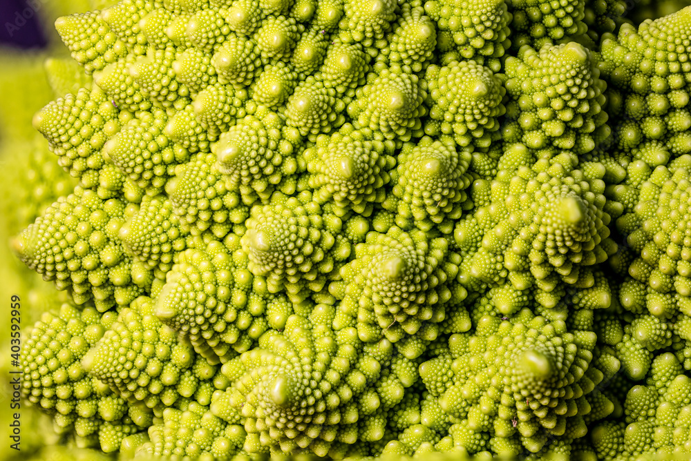 romanesco cabbage in close up romanesco cabbage in close up