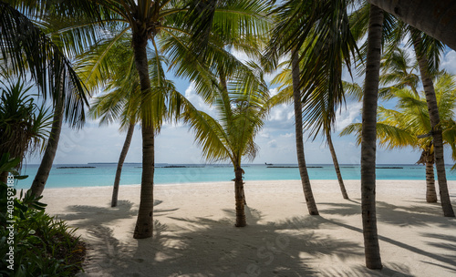 Beach with palm trees on an island in Maldives