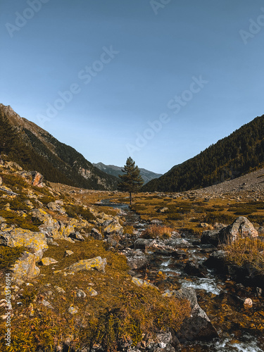 landscape in autumn