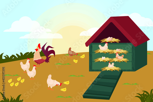 Chicken coop