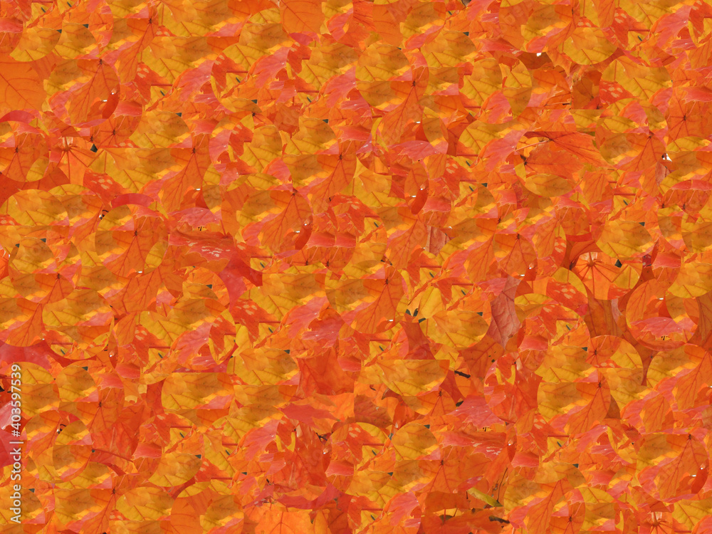 Abstract autumn drawing in orange tones Abstract autumn drawing in orange tones