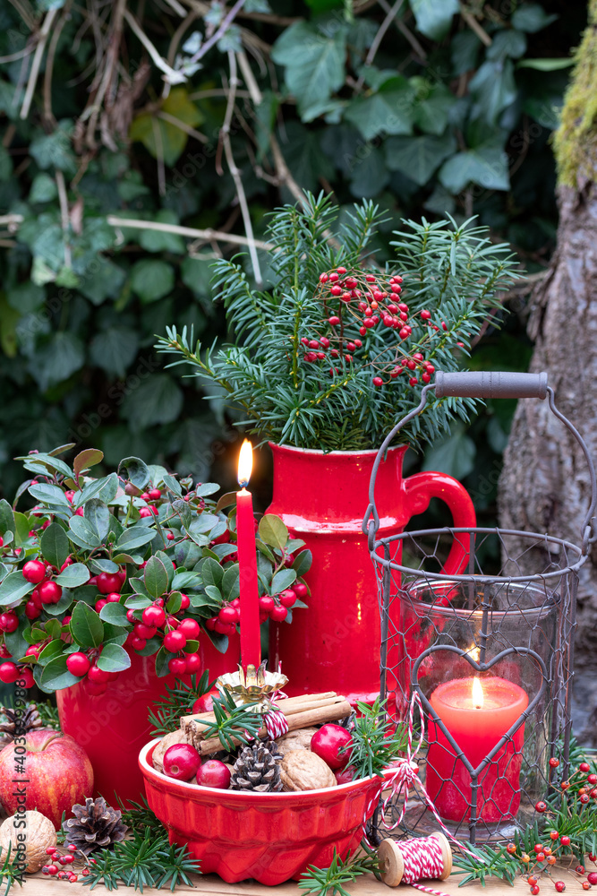 Weihnachtsdekoration im Garten mit roter Kerze, Scheinbeere und Laterne  Stock Photo | Adobe Stock