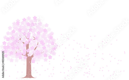 満開の桜の木と桜吹雪、イラスト素材