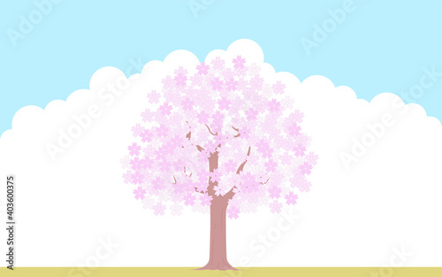 満開の桜の木、青空と雲の背景、イラスト素材 © TKM