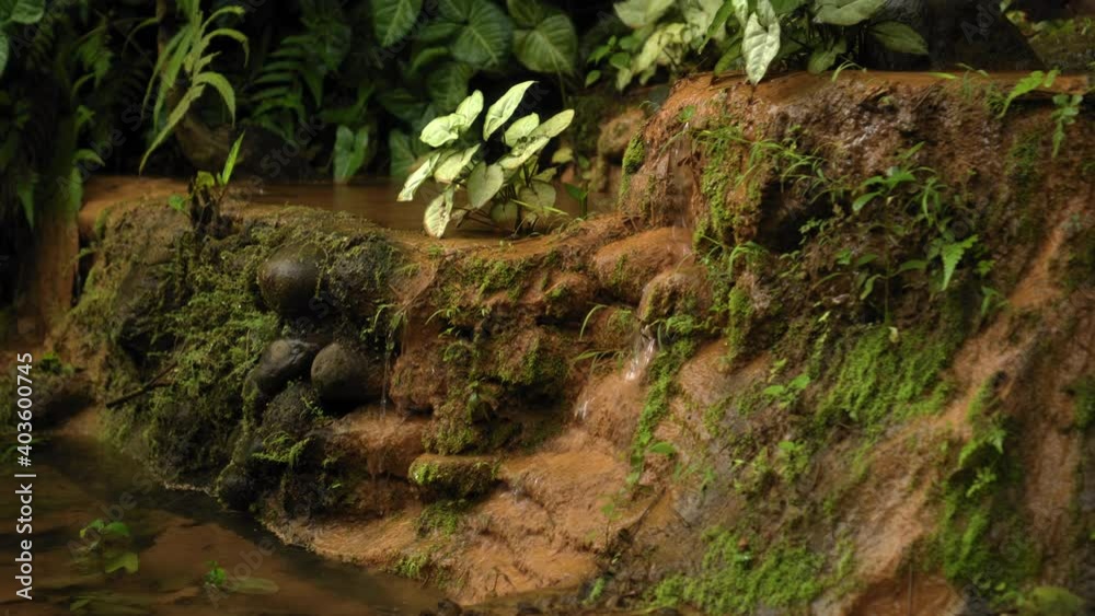 jungle to a cliff on a high mountain with a rock river jungle to a cliff on a high mountain with a rock river