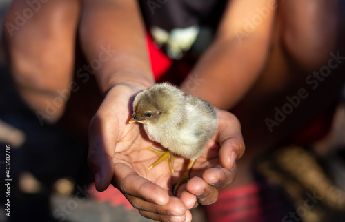 bird in hand