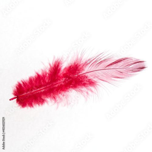 Red and white pen on a white background, isolated, close-up, copy space for text